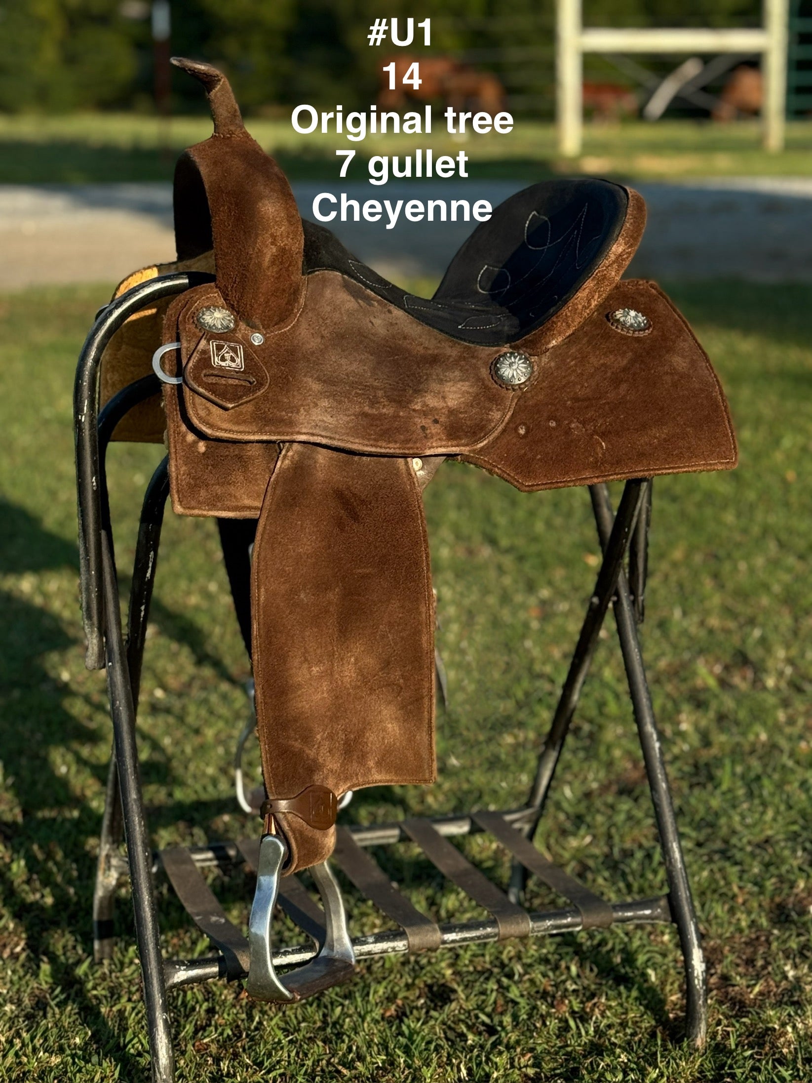 USED SADDLES