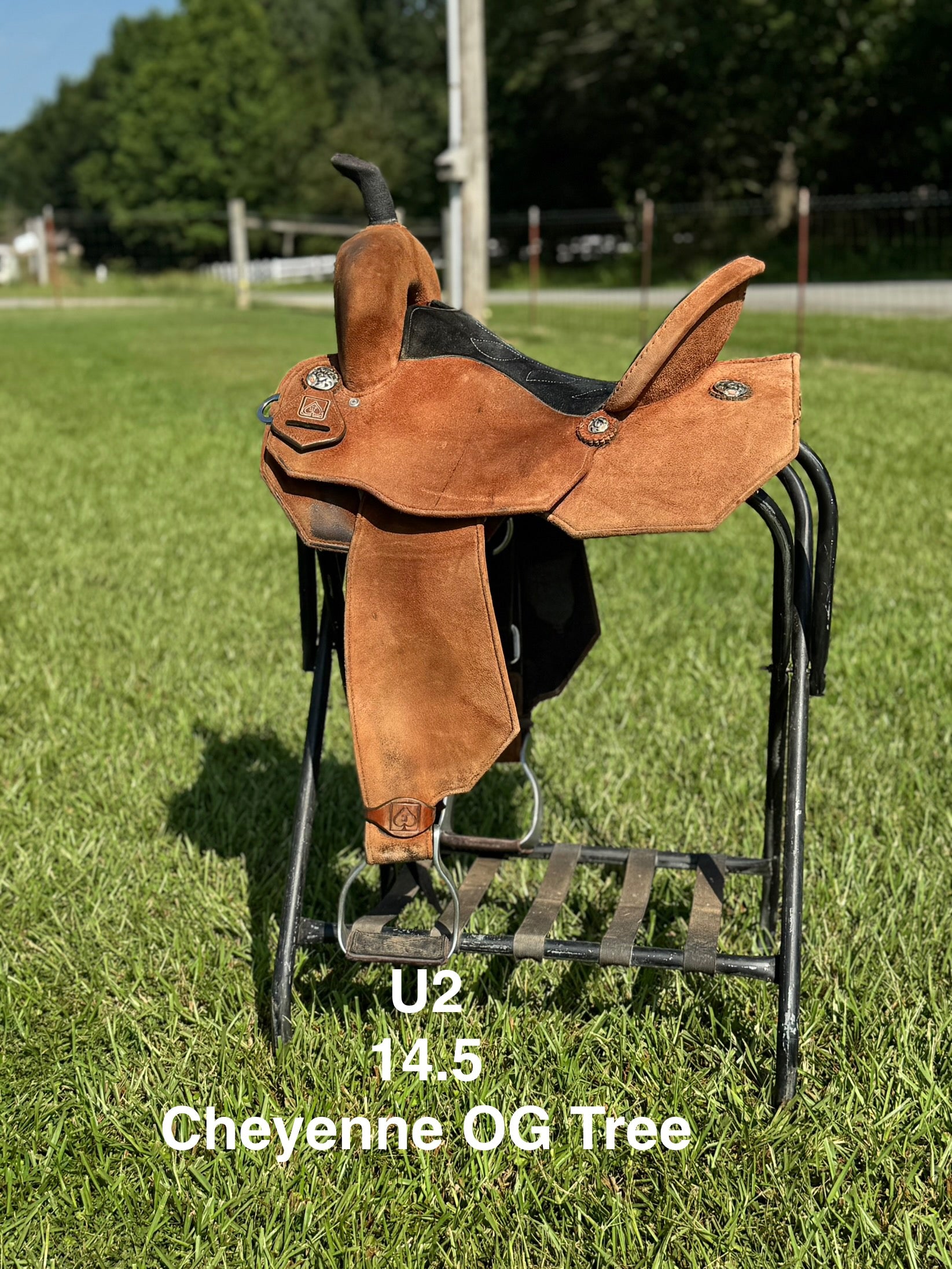 USED SADDLES