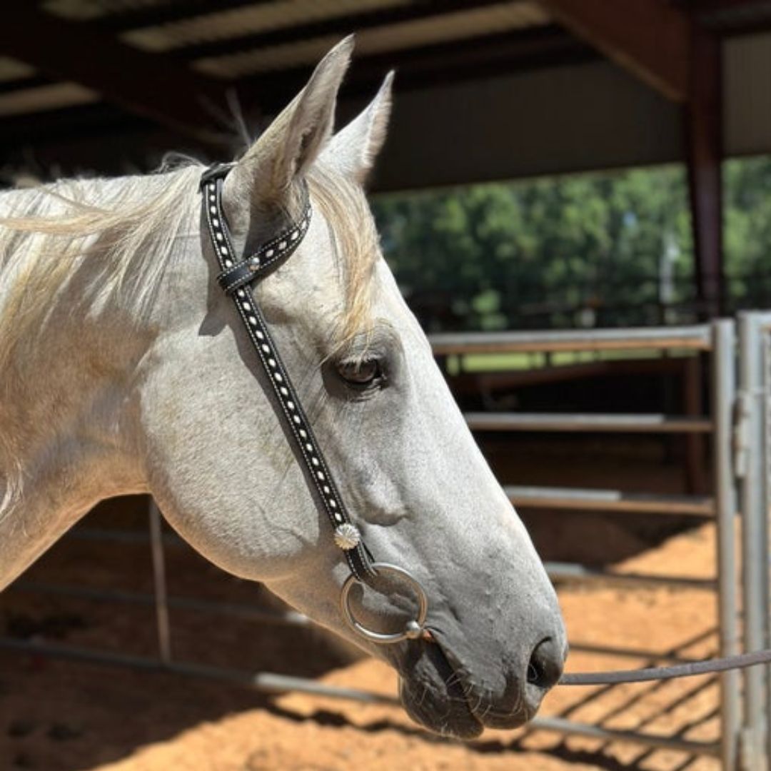 BLACK ONE EAR HEADSTALL