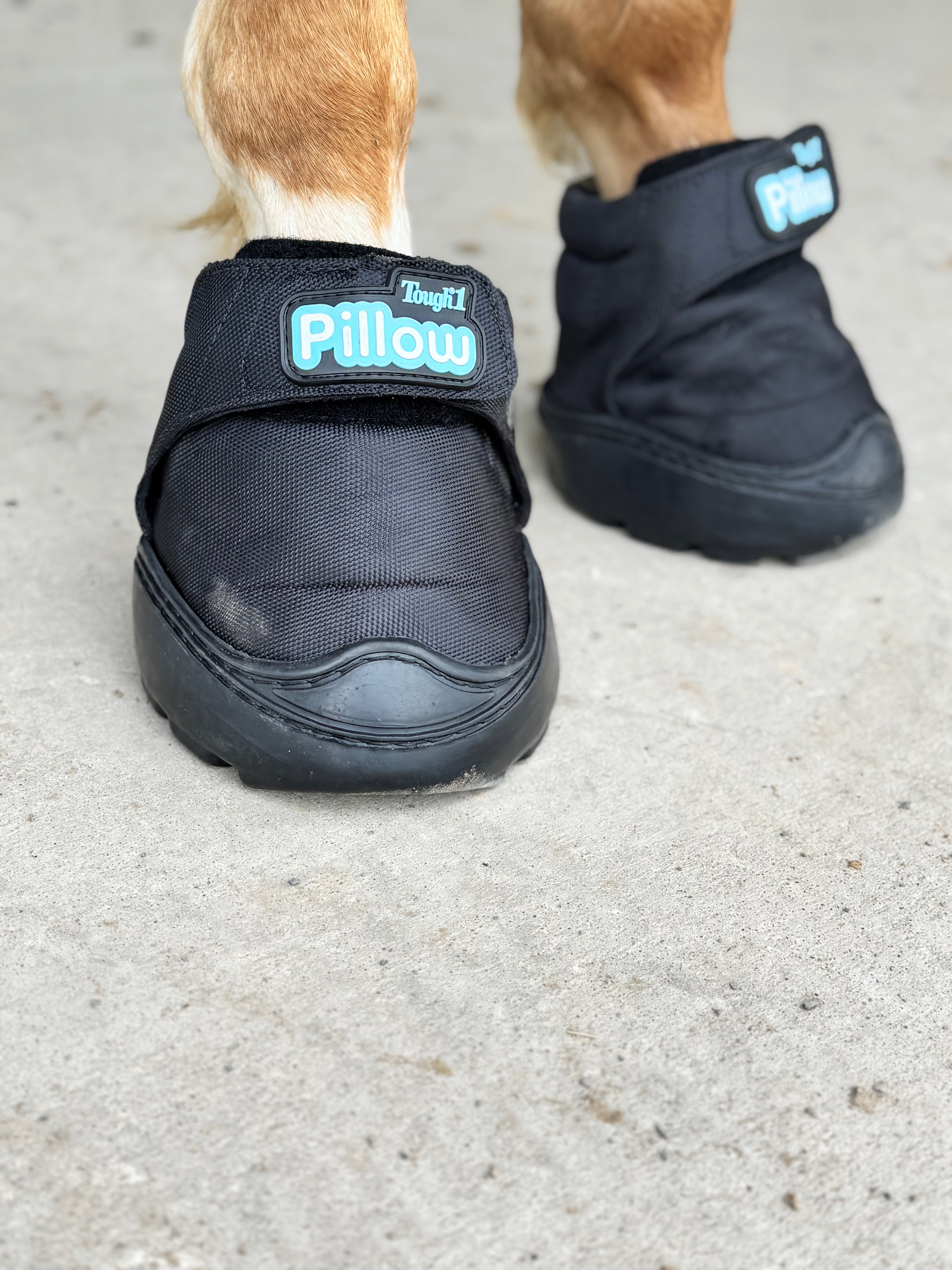 TOUGH 1 | PILLOW BOOT