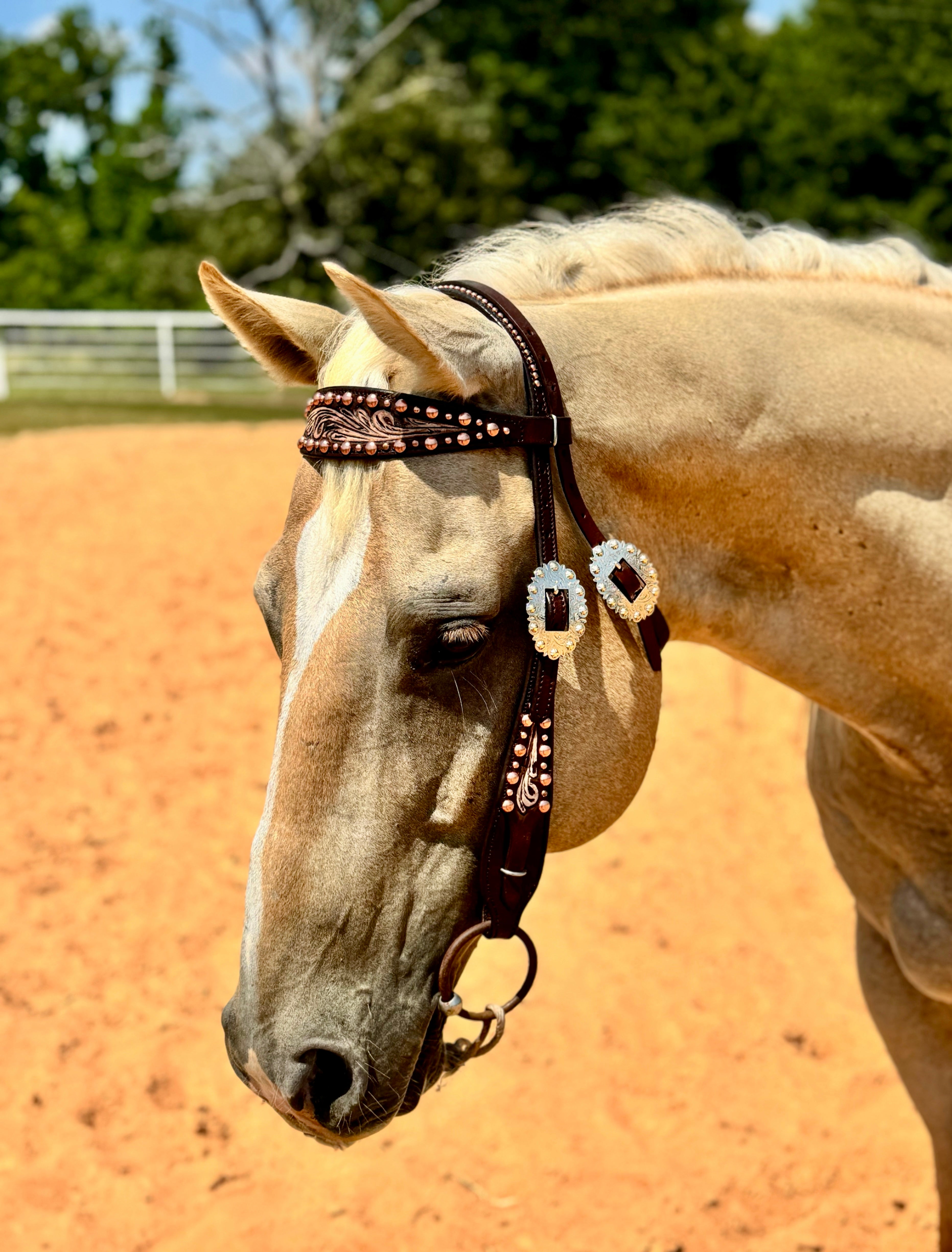 Gold Dot Headstall