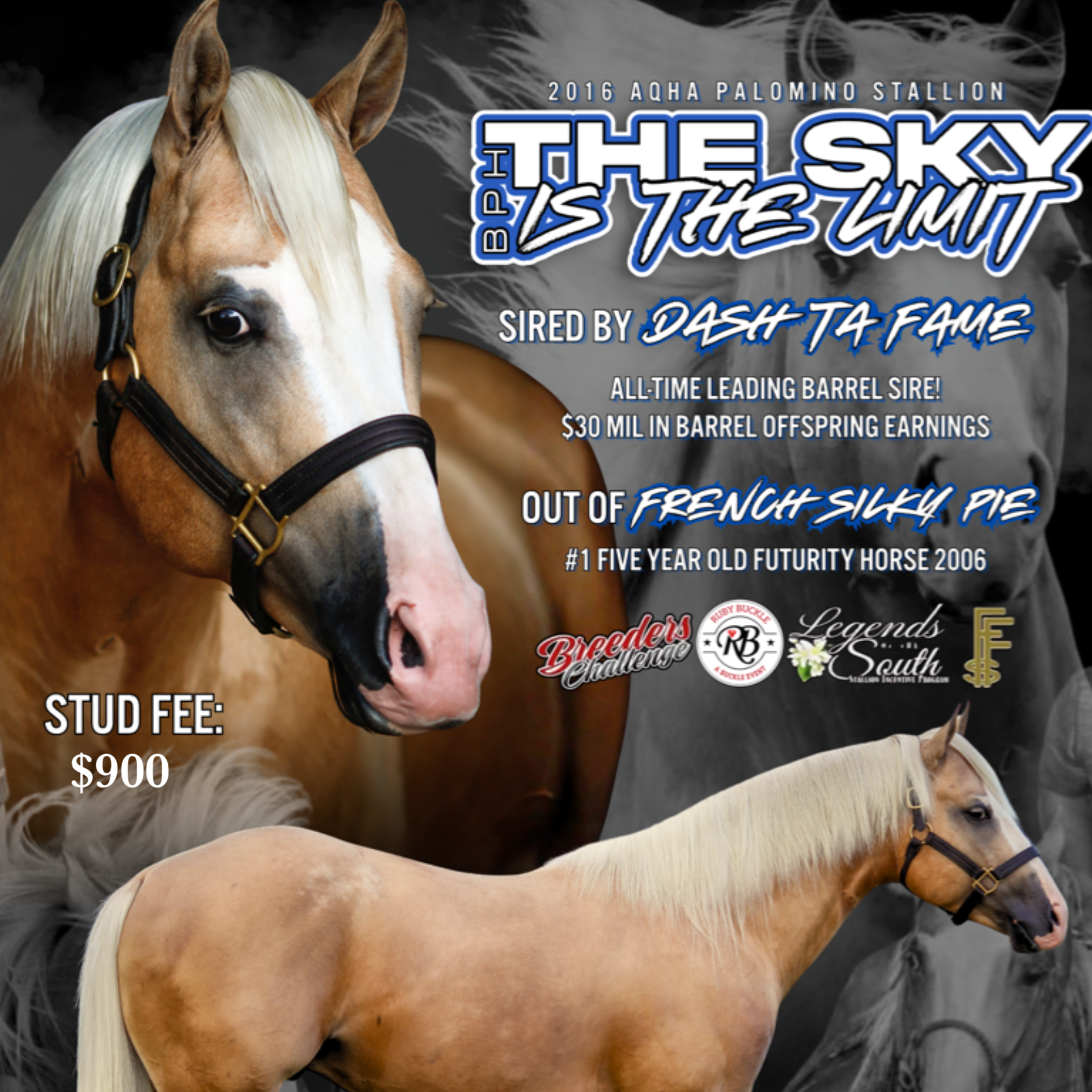 BPH THESKYISTHELIMIT | CONTRACT