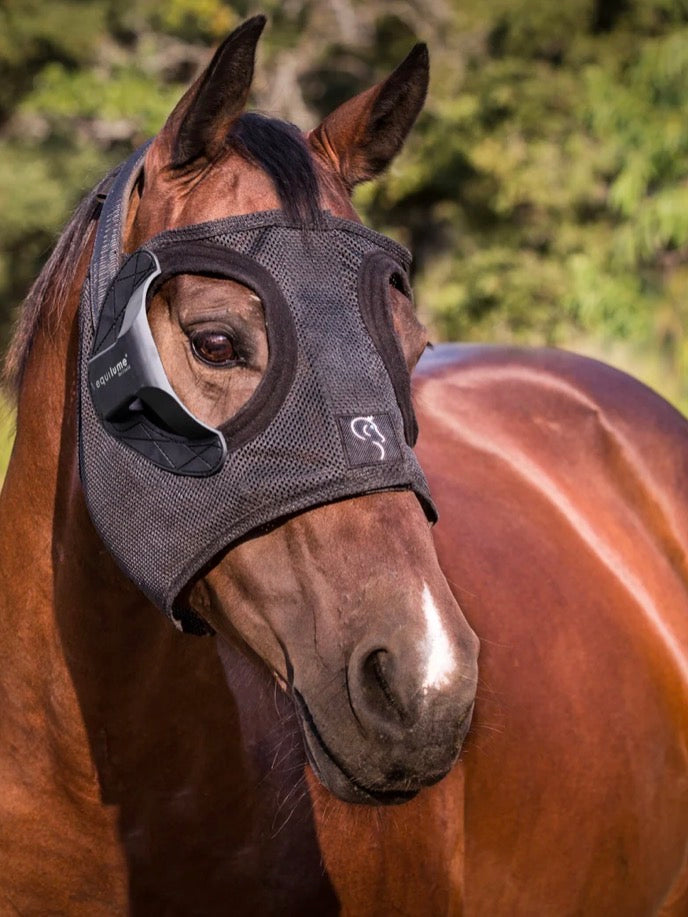 EQUILUME MASK | BELFIELD