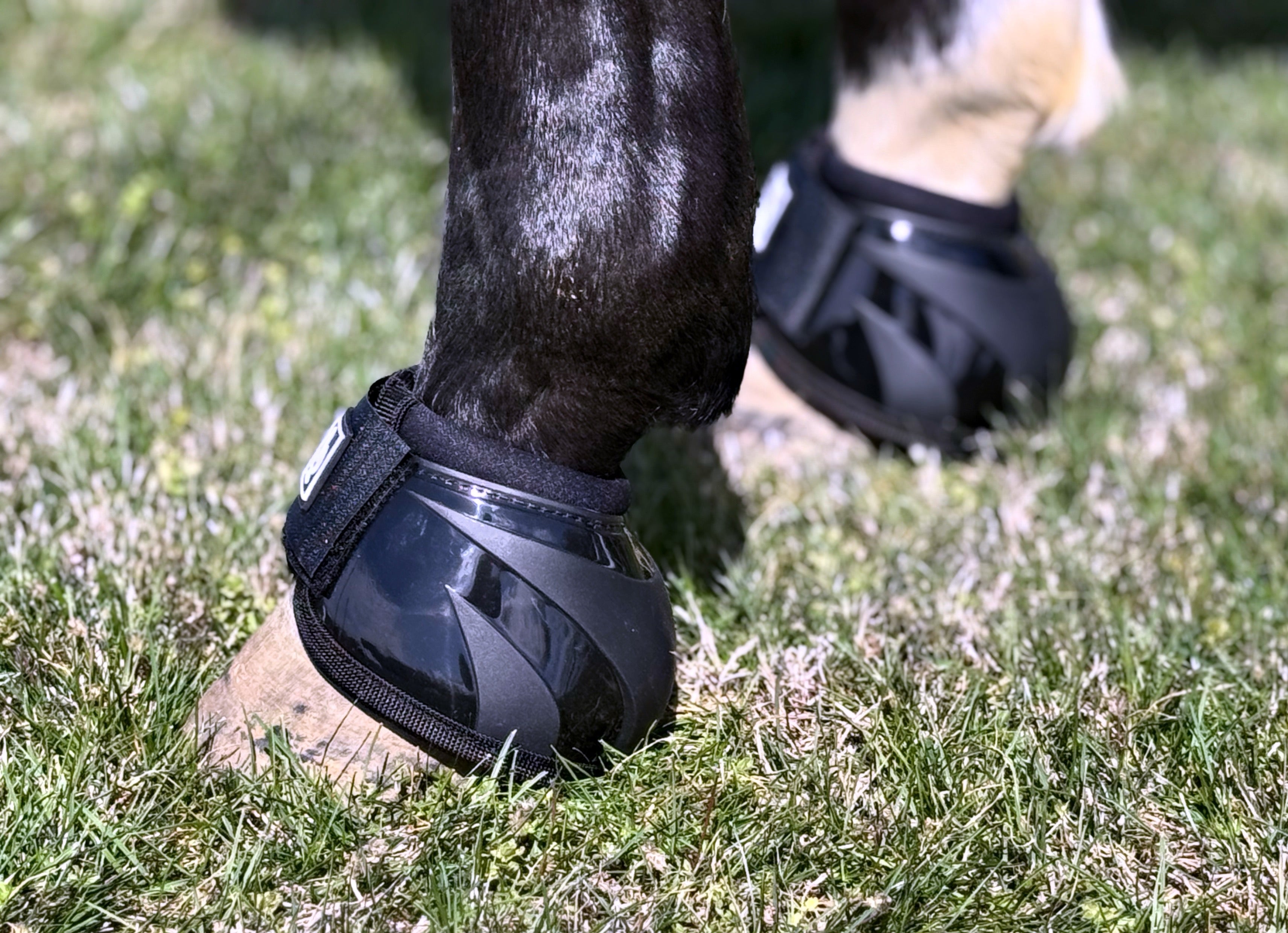 BOOTS & WRAPS – Josh Andrews Saddles