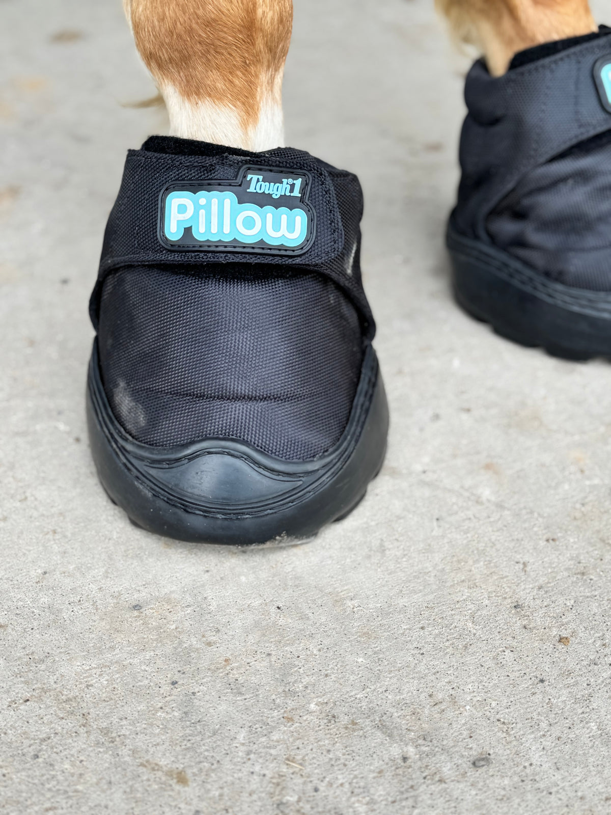 TOUGH 1 | PILLOW BOOT – Josh Andrews Saddles
