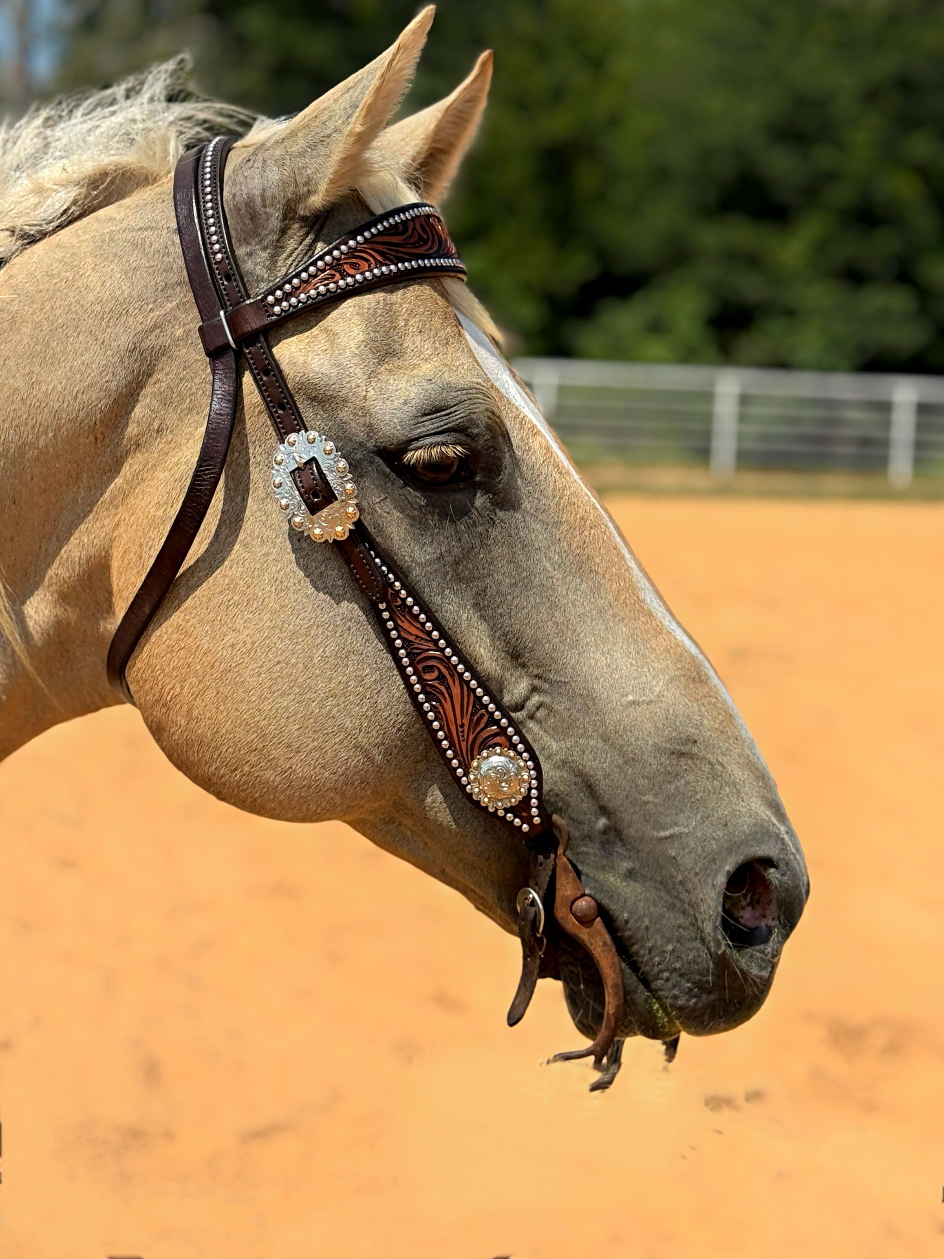 Silver Dot Headstall