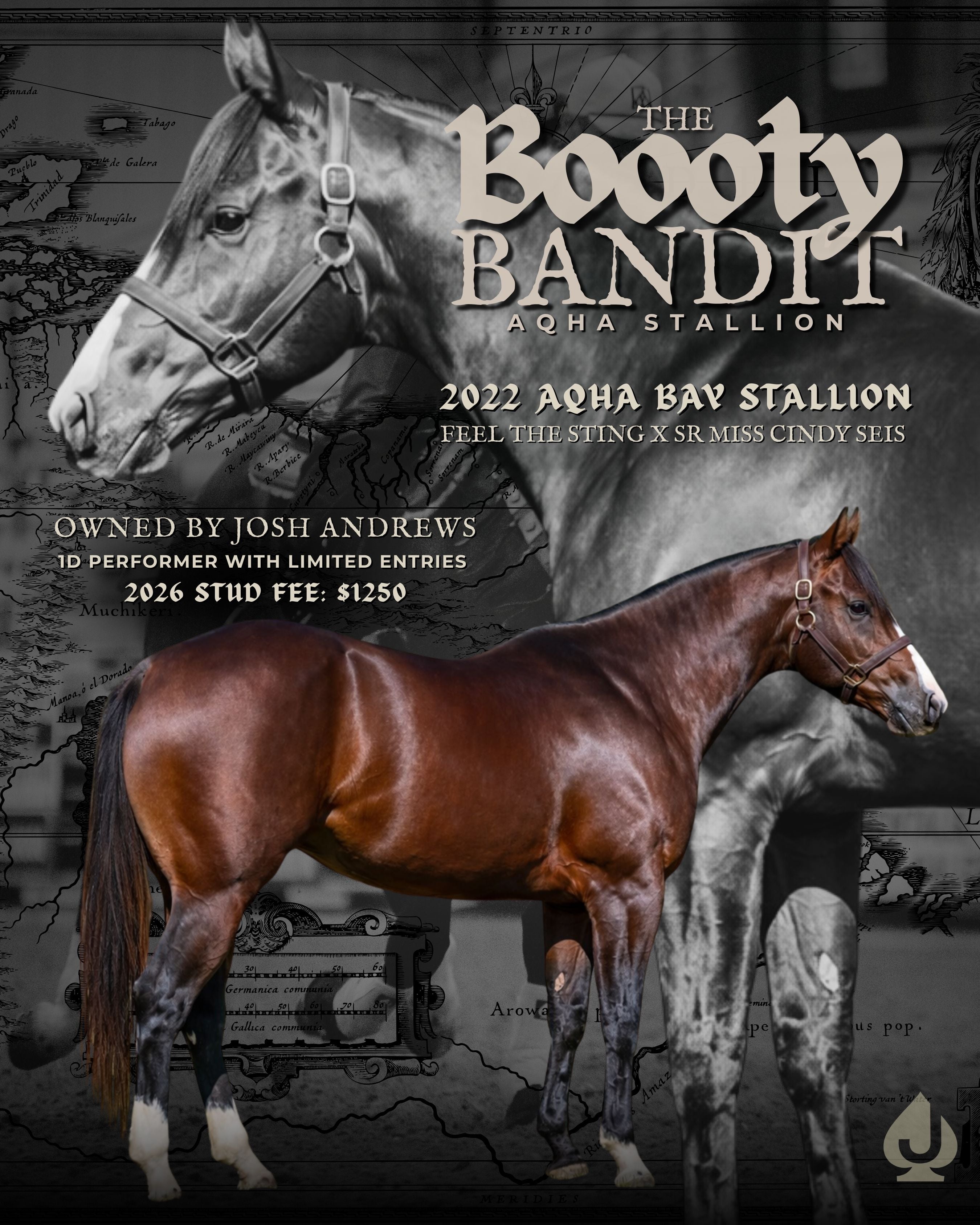THE BOOOTY BANDIT – Josh Andrews Saddles